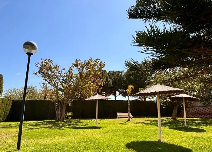 Place كاليبي